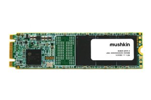 256GB Solid State Drive - Source M.2