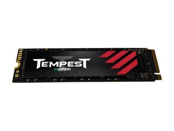 Tempest 256GB M.2 2280 PCIe Gen3 x4 NVMe SSD